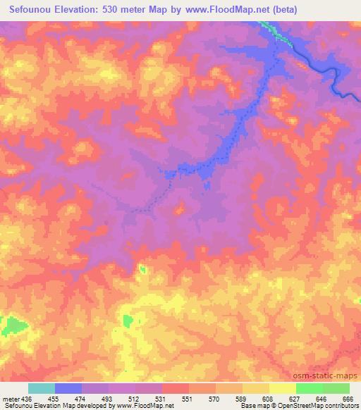 Sefounou,Guinea Elevation Map