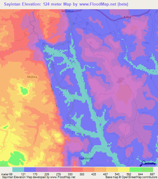 Sayintan,Guinea Elevation Map