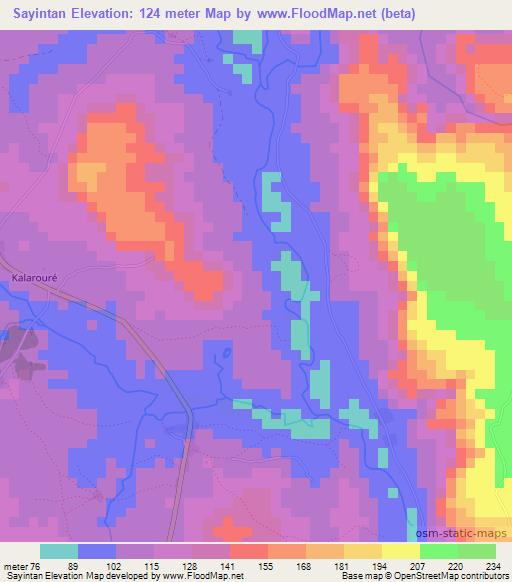 Sayintan,Guinea Elevation Map