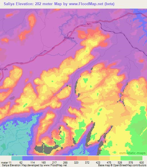 Saliya,Guinea Elevation Map