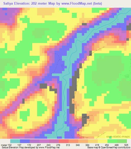 Saliya,Guinea Elevation Map