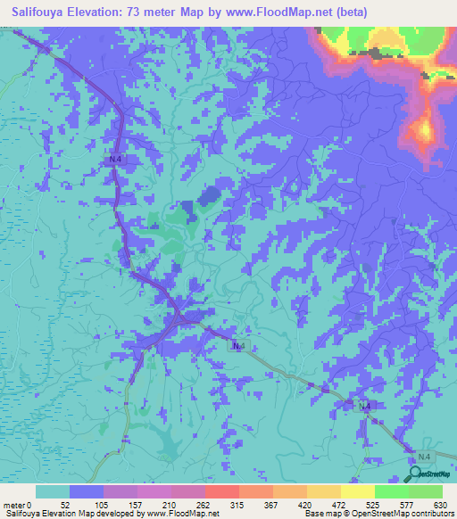 Salifouya,Guinea Elevation Map