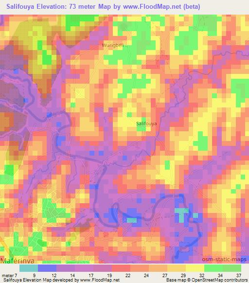 Salifouya,Guinea Elevation Map