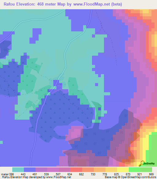 Rafou,Guinea Elevation Map