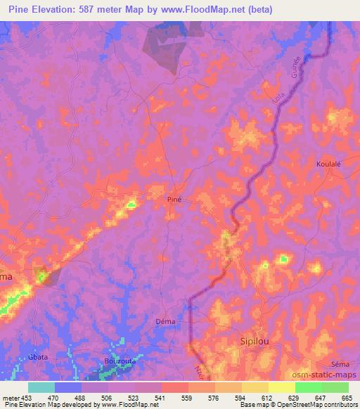 Pine,Guinea Elevation Map