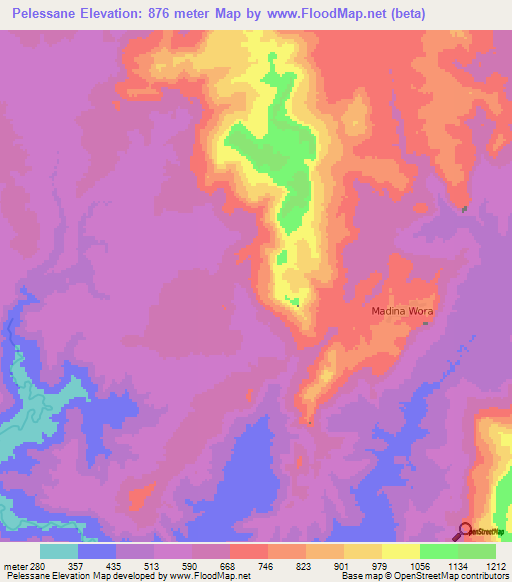 Pelessane,Guinea Elevation Map