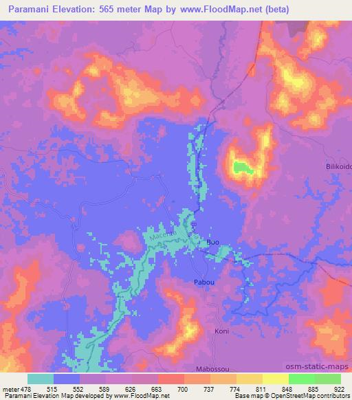 Paramani,Guinea Elevation Map