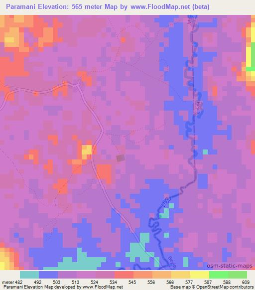 Paramani,Guinea Elevation Map