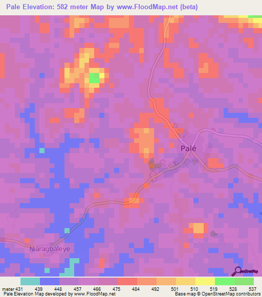 Pale,Guinea Elevation Map