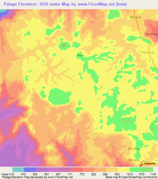 Palaga,Guinea Elevation Map