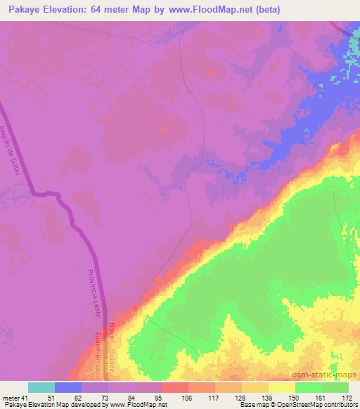 Pakaye,Guinea Elevation Map