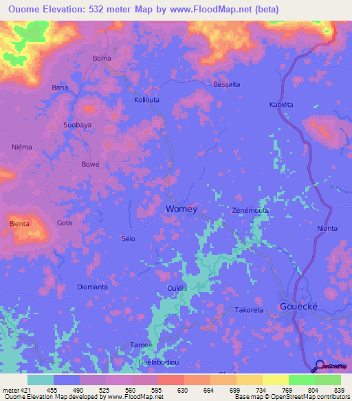 Ouome,Guinea Elevation Map