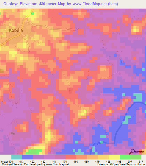 Ouoloye,Guinea Elevation Map