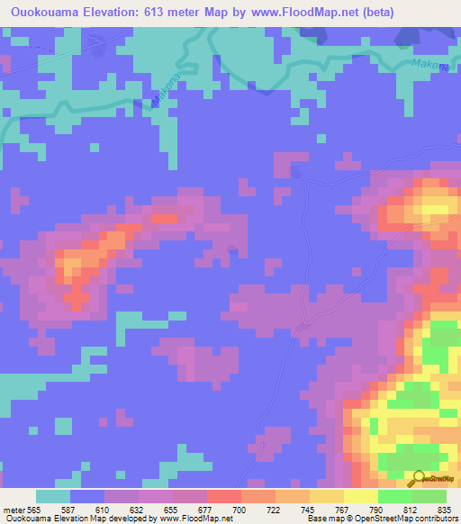 Ouokouama,Guinea Elevation Map