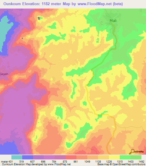 Ounkoum,Guinea Elevation Map