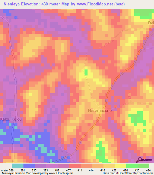 Nienieya,Guinea Elevation Map