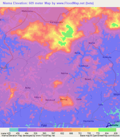 Niema,Guinea Elevation Map