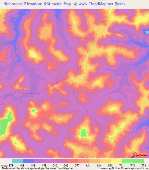 Nieborassi,Guinea Elevation Map