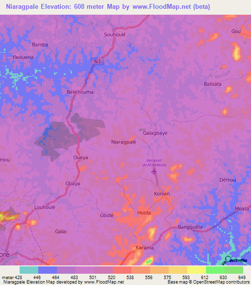 Niaragpale,Guinea Elevation Map