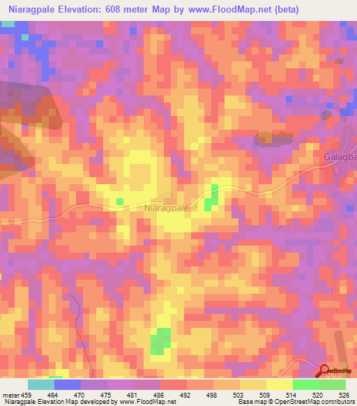 Niaragpale,Guinea Elevation Map