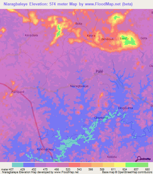 Niaragbaleye,Guinea Elevation Map