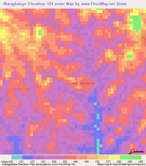 Niaragbaleye,Guinea Elevation Map