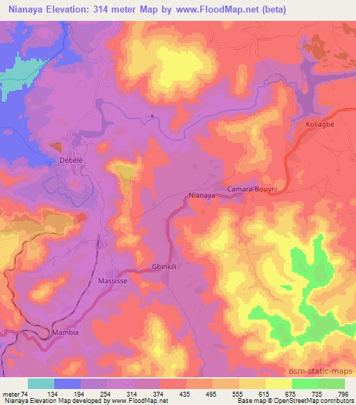 Nianaya,Guinea Elevation Map