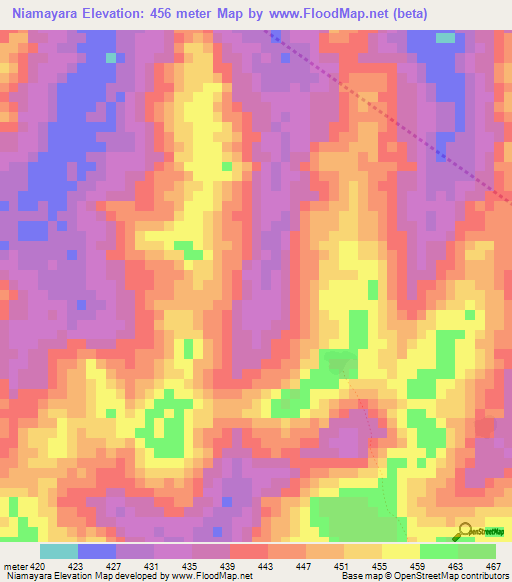 Niamayara,Guinea Elevation Map