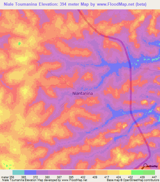 Niale Toumanina,Guinea Elevation Map