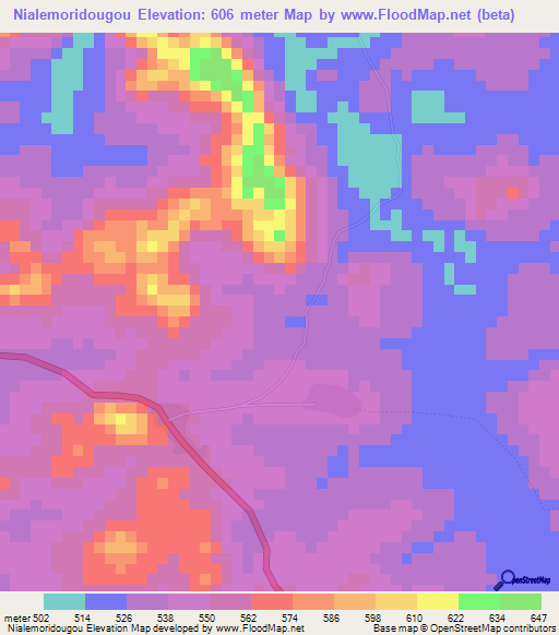 Nialemoridougou,Guinea Elevation Map