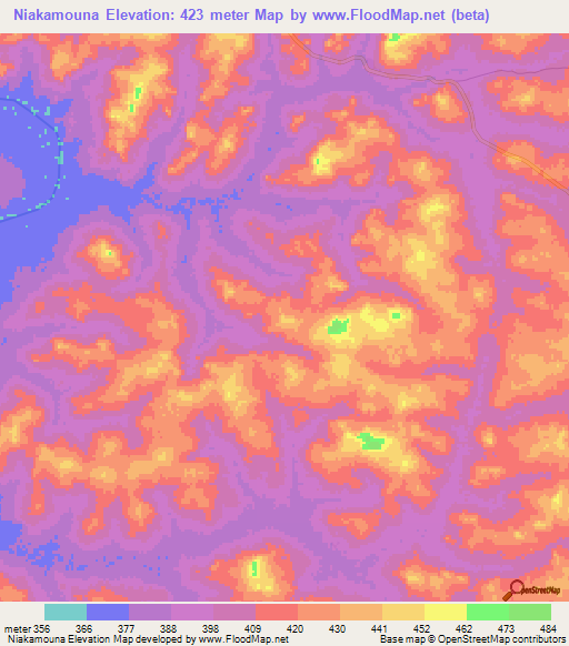 Niakamouna,Guinea Elevation Map