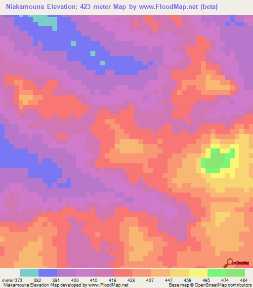 Niakamouna,Guinea Elevation Map