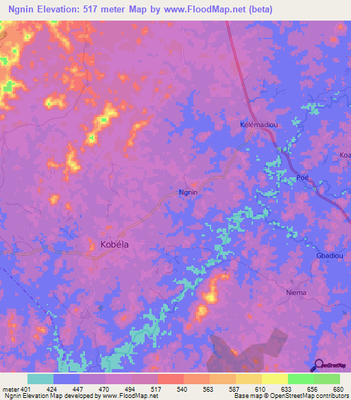 Ngnin,Guinea Elevation Map