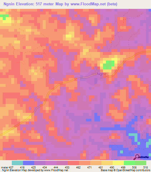 Ngnin,Guinea Elevation Map