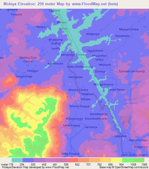 Moleya,Guinea Elevation Map