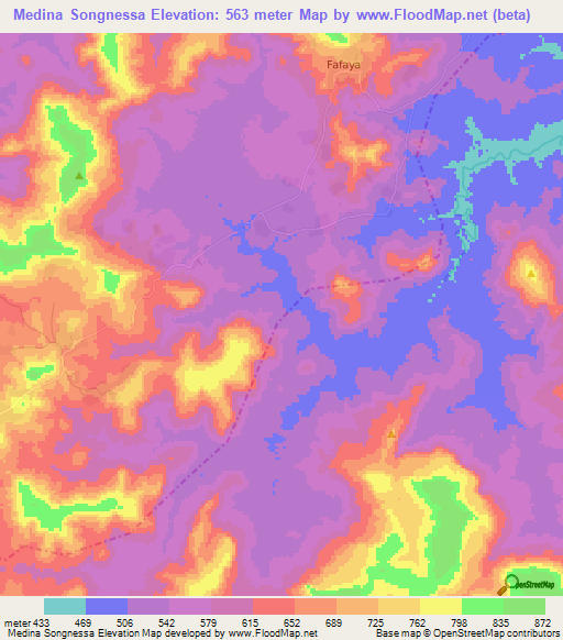 Medina Songnessa,Guinea Elevation Map