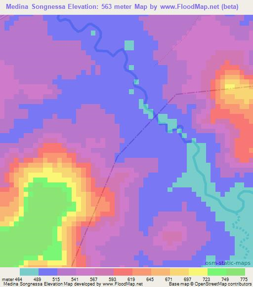 Medina Songnessa,Guinea Elevation Map