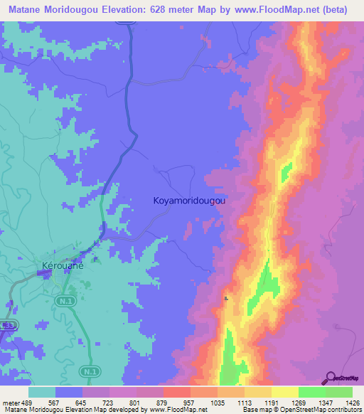 Matane Moridougou,Guinea Elevation Map