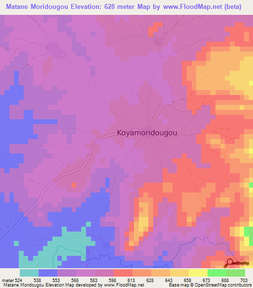 Matane Moridougou,Guinea Elevation Map