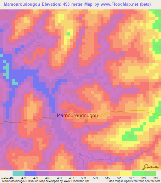 Mamouroudougou,Guinea Elevation Map