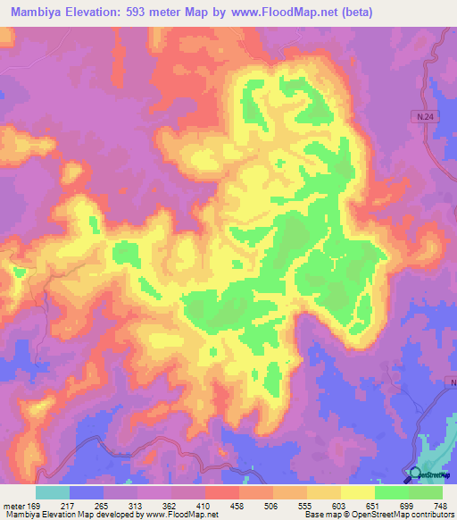 Mambiya,Guinea Elevation Map