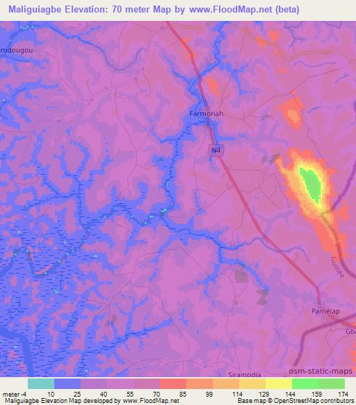 Maliguiagbe,Guinea Elevation Map