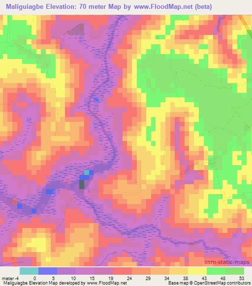 Maliguiagbe,Guinea Elevation Map