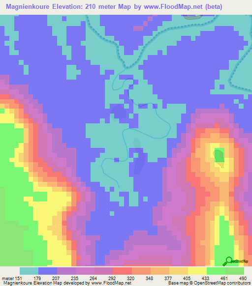 Magnienkoure,Guinea Elevation Map