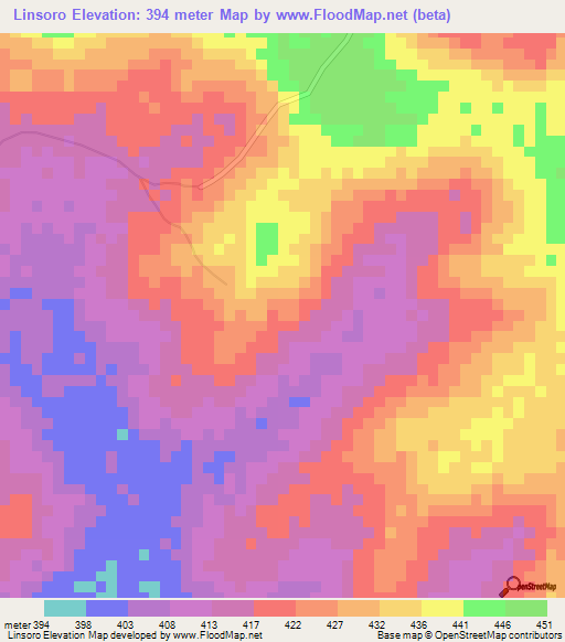 Linsoro,Guinea Elevation Map