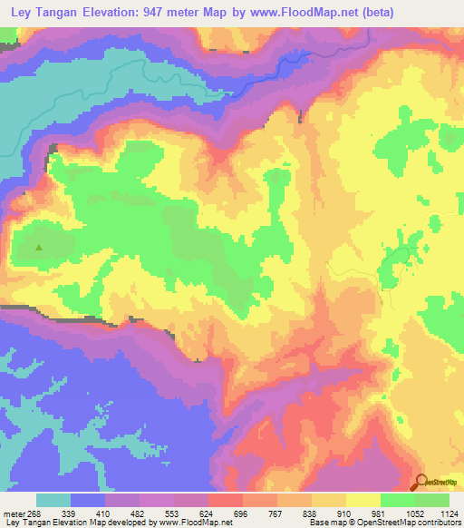 Ley Tangan,Guinea Elevation Map