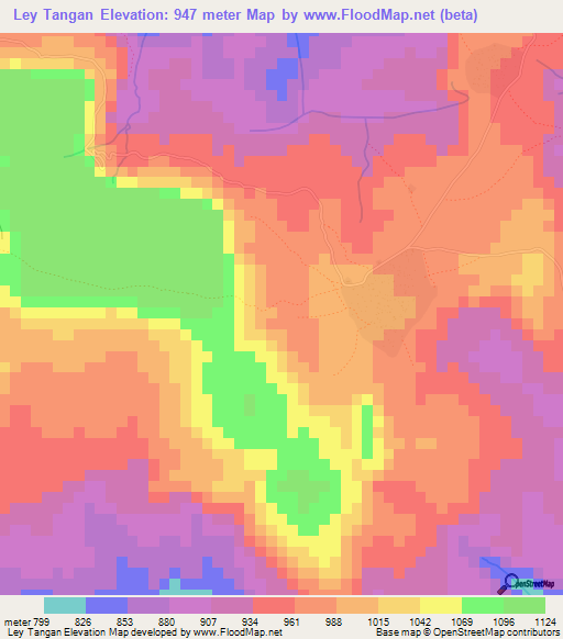 Ley Tangan,Guinea Elevation Map