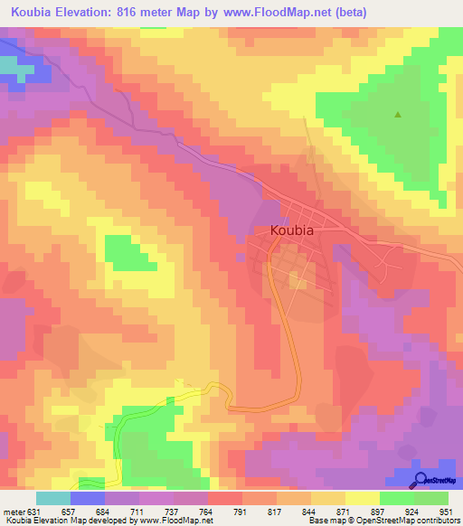 Koubia,Guinea Elevation Map