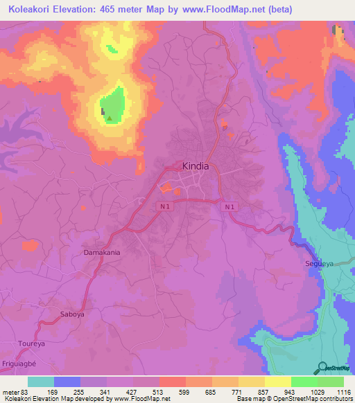 Koleakori,Guinea Elevation Map