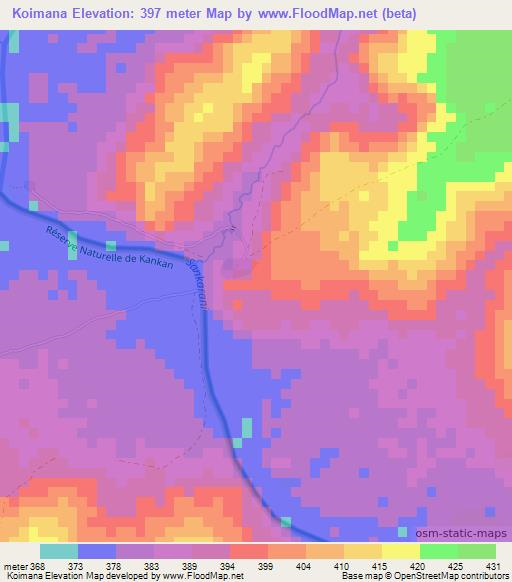 Koimana,Guinea Elevation Map